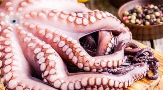 WhatsApp Image 2024-04-02 at 17.03.40