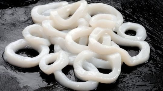 WhatsApp Image 2024-04-08 at 09.45.54